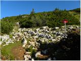 Planina Kosmačeve Rastke - Velika Raduha